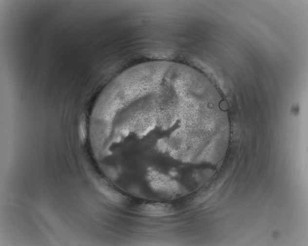 X0000097620069200803211755