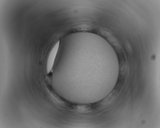 X0000097620070200803211755