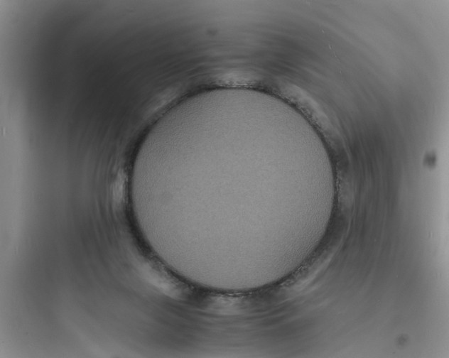 X0000097620071200803211755