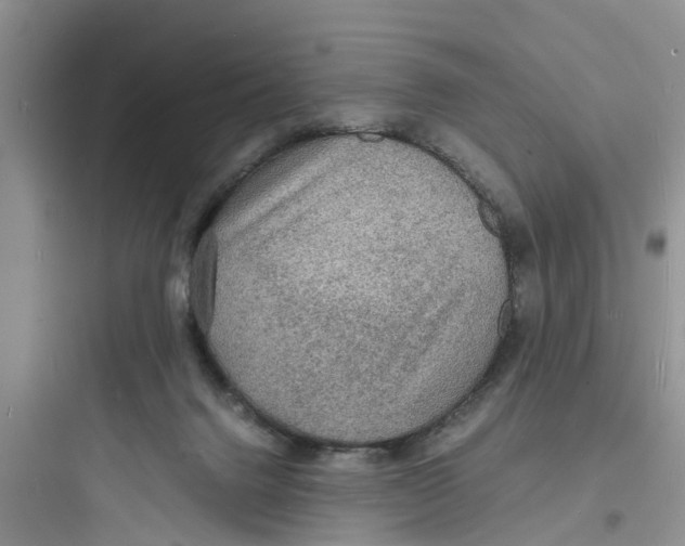 X0000097620072200803211755
