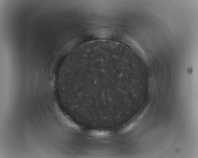 X0000097620073200803211755