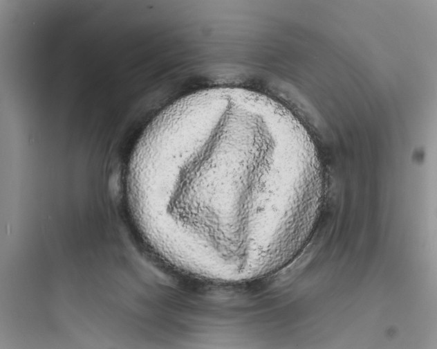 X0000097620074200803211755