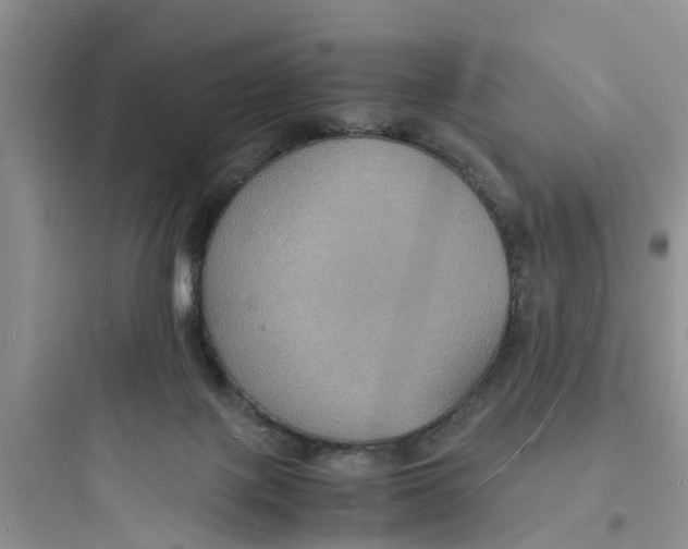 X0000097620075200803211755