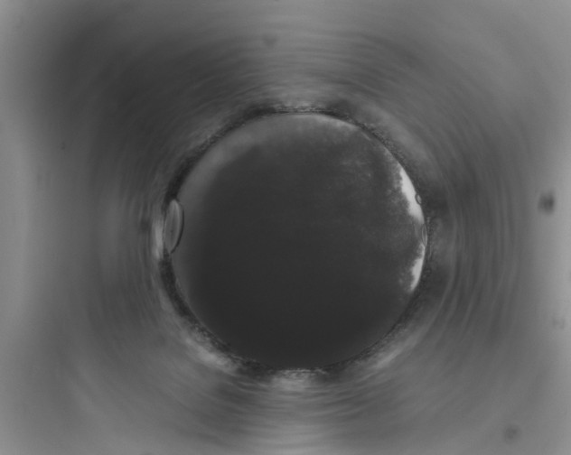 X0000097620076200803211755