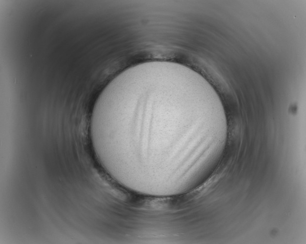 X0000097620078200803211755