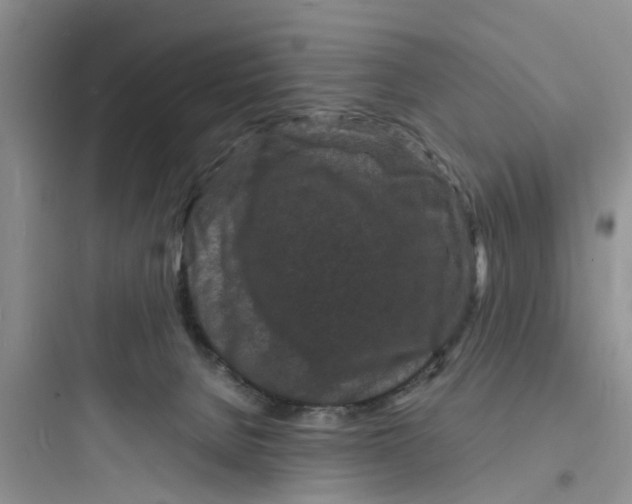 X0000097620080200803211755