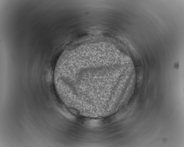 X0000097620081200803211755
