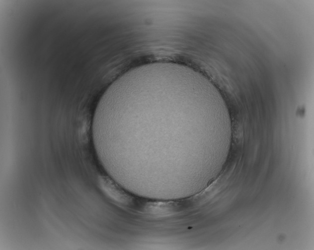 X0000097620082200803211755