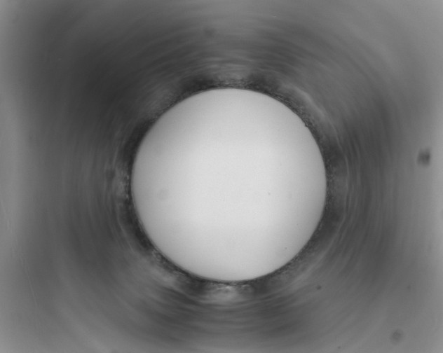 X0000097620083200803211755