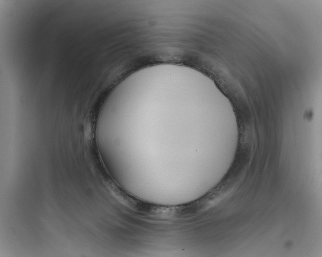 X0000097620084200803211755