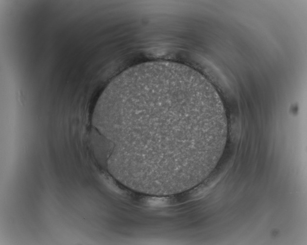 X0000097620085200803211755