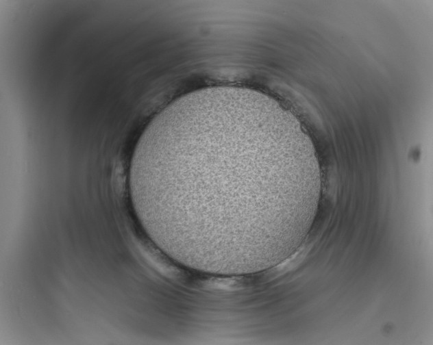 X0000097620086200803211755