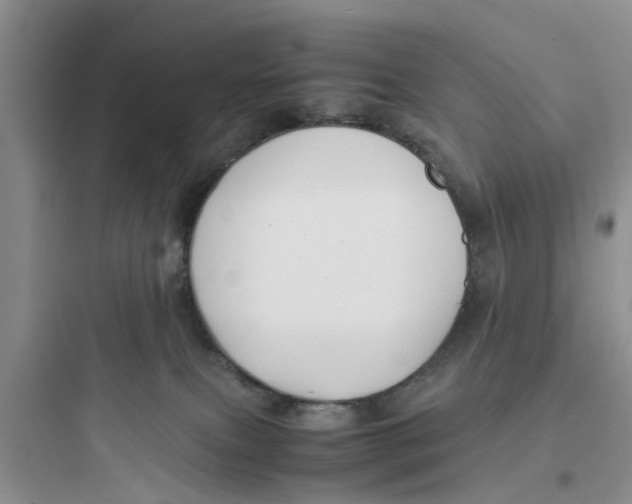 X0000097620087200803211755