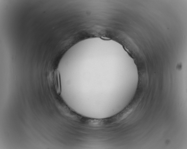 X0000097620088200803211755