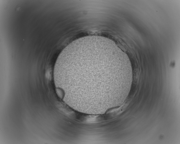X0000097620090200803211755