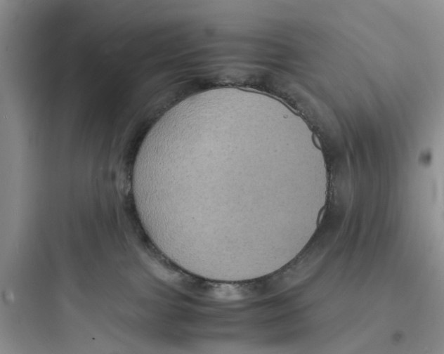 X0000097620091200803211755