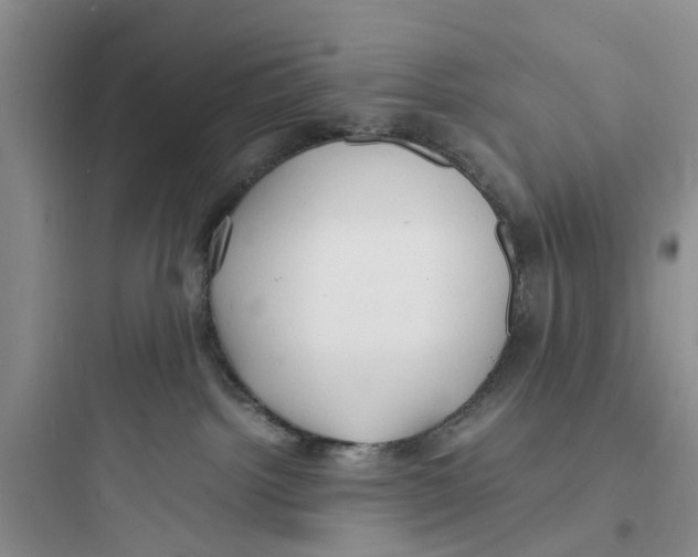 X0000097620092200803211755