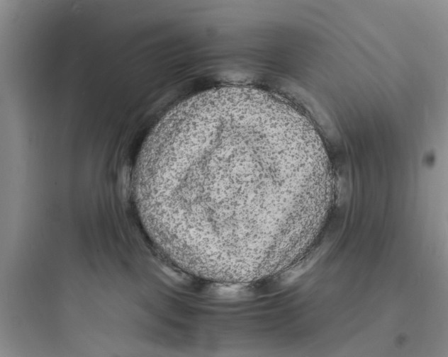 X0000097620093200803211755