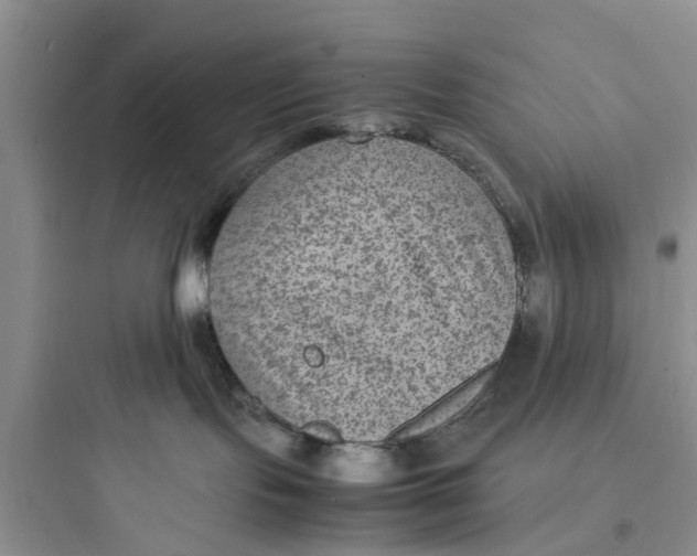 X0000097620095200803211755