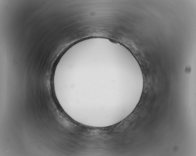 X0000097620098200803211755