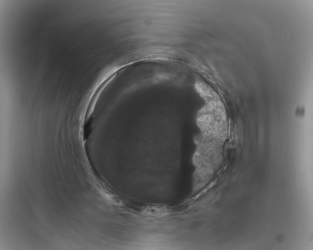 X0000097620099200803211755
