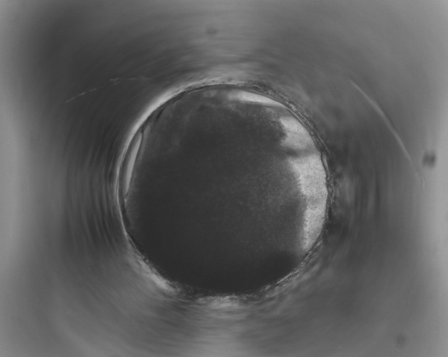 X0000097620100200803211755