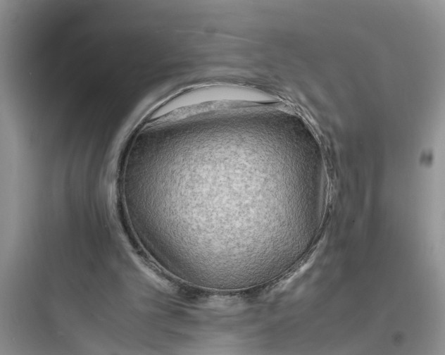 X0000097620101200803211755