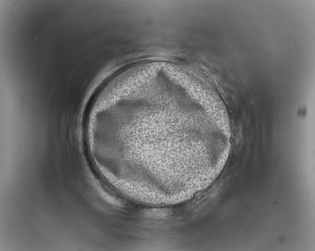 X0000097620102200803211755