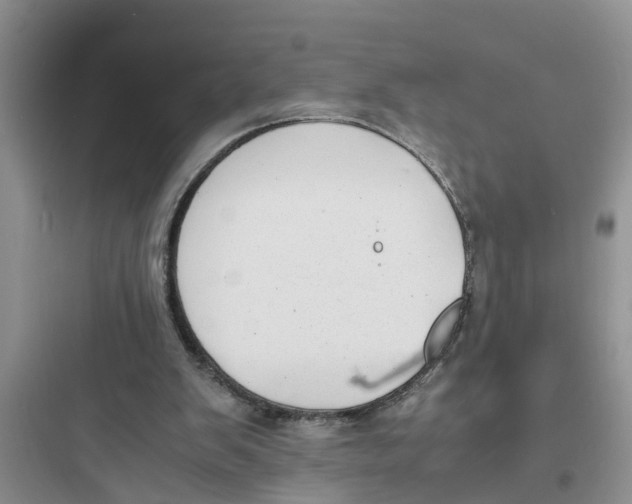 X0000097620103200803211755