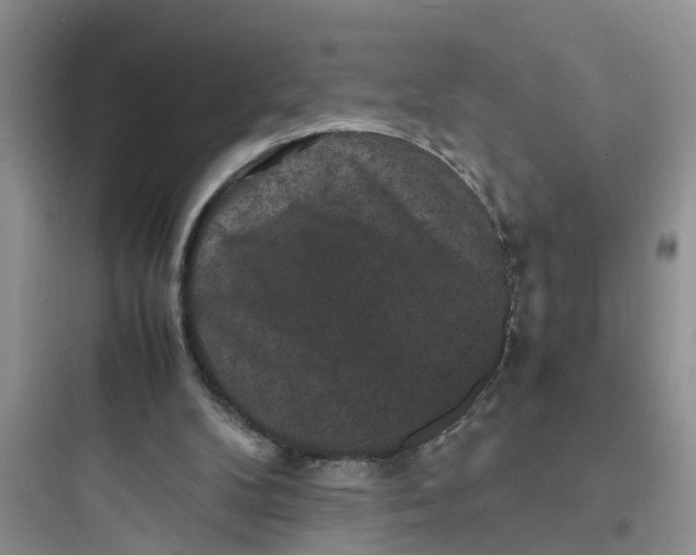 X0000097620104200803211755