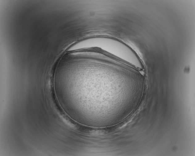 X0000097620105200803211755