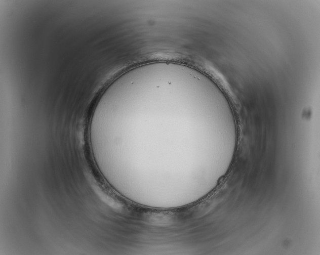 X0000097620106200803211755