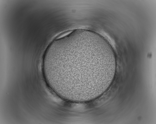X0000097620107200803211755