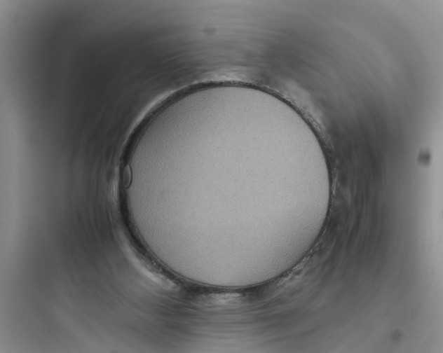 X0000097620108200803211755