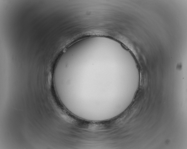 X0000097620109200803211755