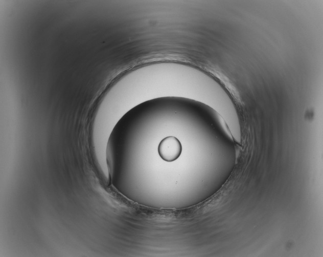 X0000097620110200803211754