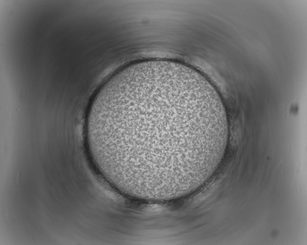 X0000097620111200803211754