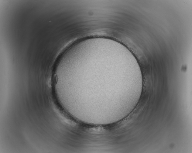 X0000097620112200803211754