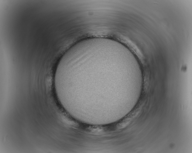 X0000097620113200803211754