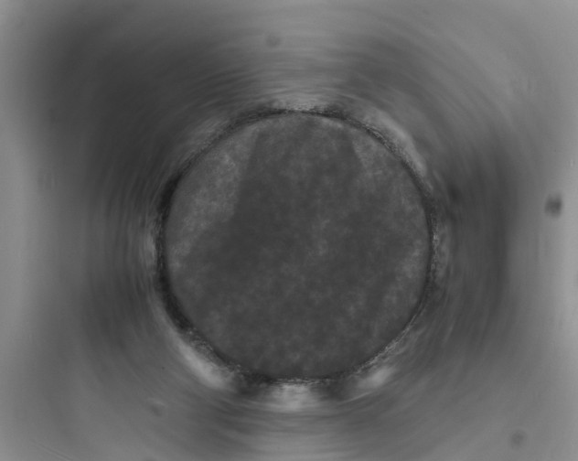 X0000097620114200803211754