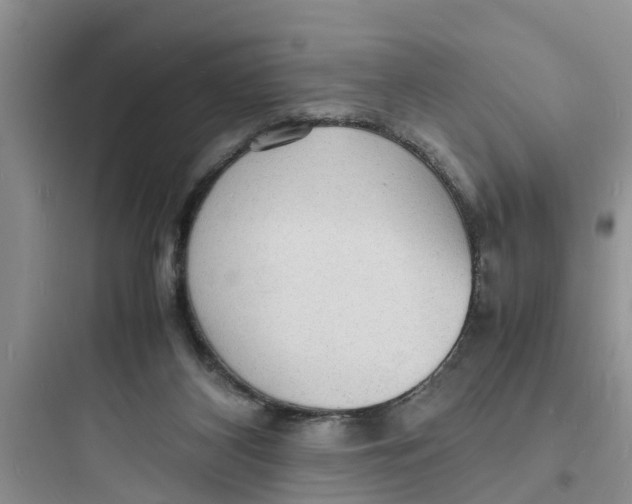 X0000097620116200803211754