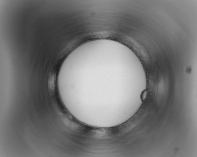 X0000097620118200803211754