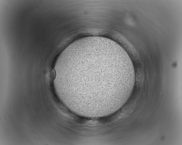 X0000097620119200803211754