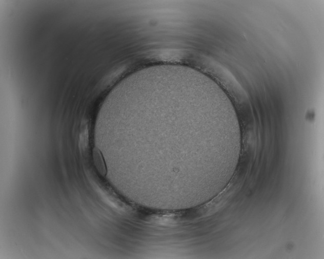 X0000097620120200803211754