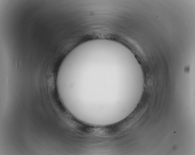X0000097620121200803211754