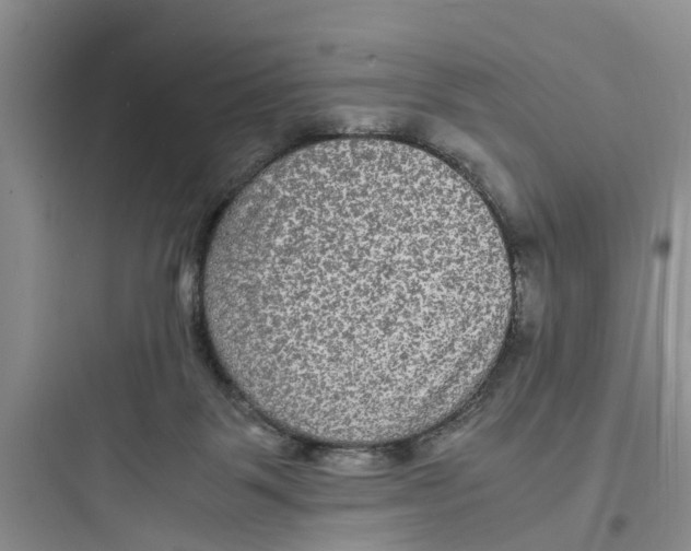 X0000097620123200803211754