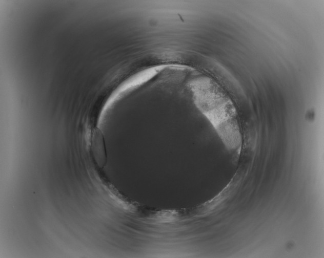 X0000097620124200803211754