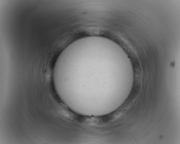 X0000097620125200803211754
