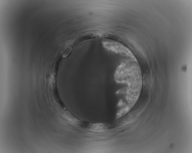 X0000097620127200803211754