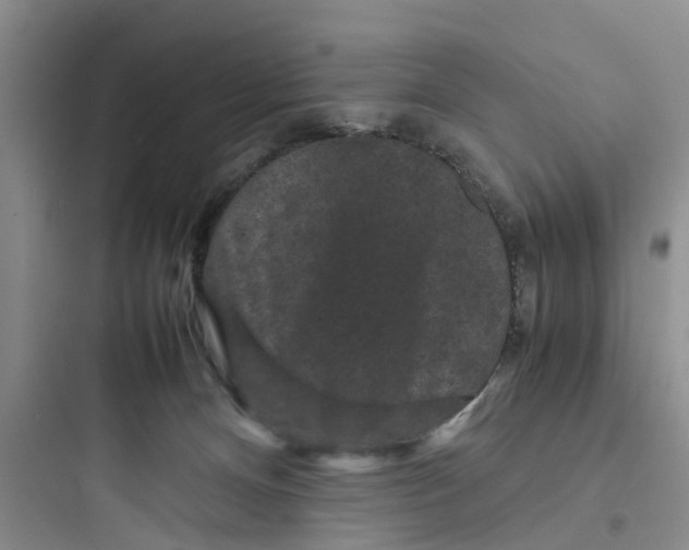 X0000097620128200803211754